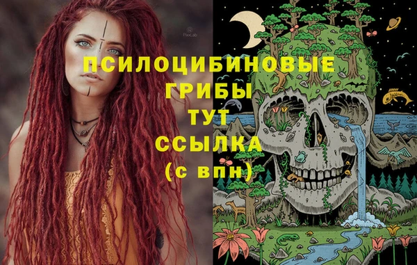 каннабис Богданович