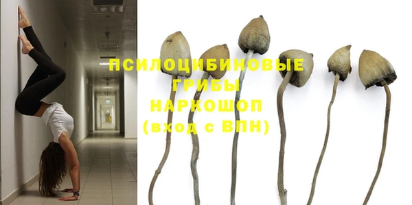 каннабис Богданович