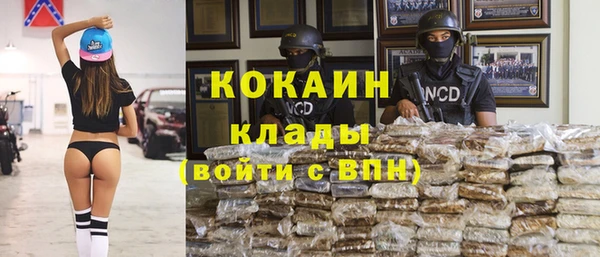 таблы Богородицк
