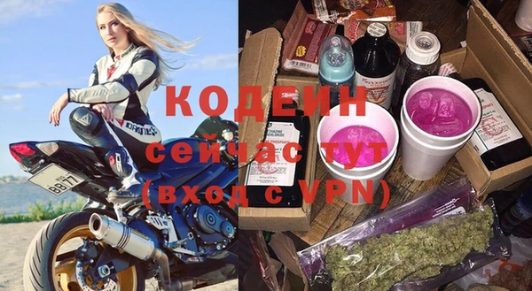 хмурый Белокуриха
