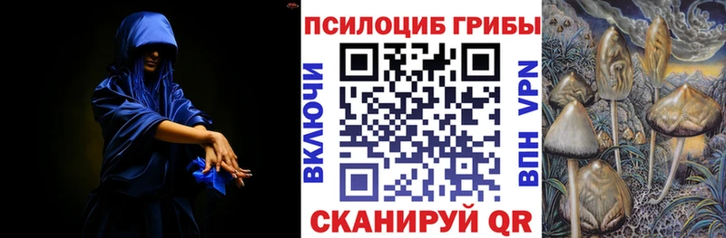 Псилоцибиновые грибы мухоморы Минеральные Воды