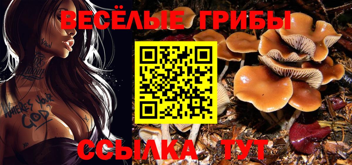 Минеральные Воды  ГАШИШ  Вход с VPN  Мефедрон кристаллы  КОКАИН 